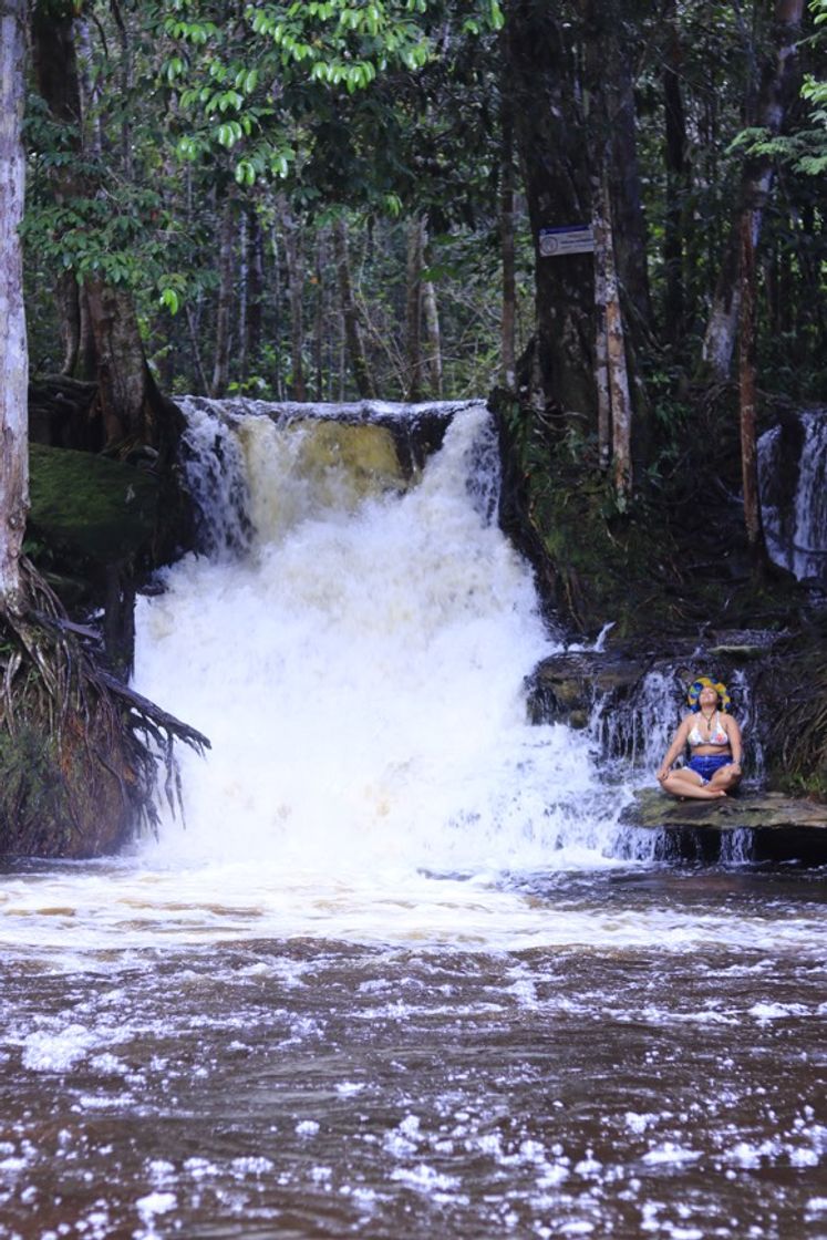 Place Entrada Reserva Cachoeira das Orquídeas