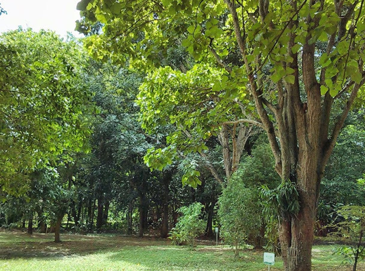 Places Jardín Botánico Naguanagua