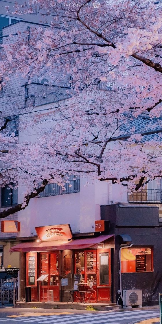 Place Tokio