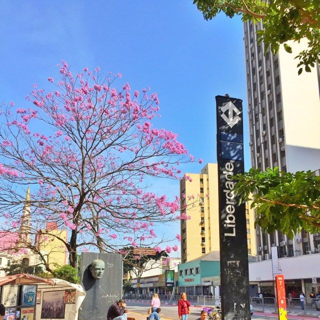 Lugar Bairro Da Liberdade SP