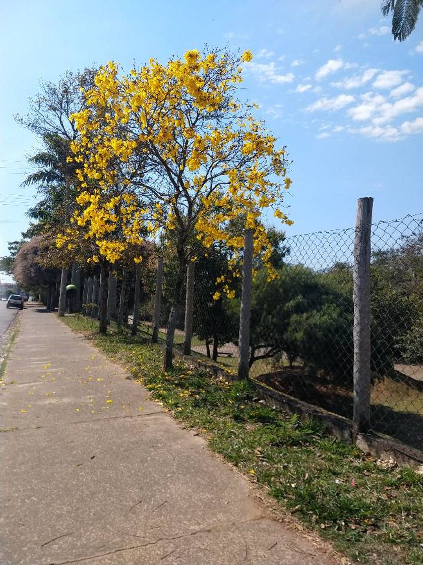 Lugares Parque Ecológico Murilo Ferreira Carnicelli