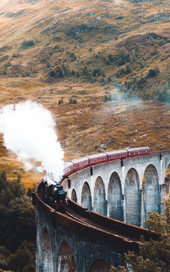 Fashion Hogwarts train