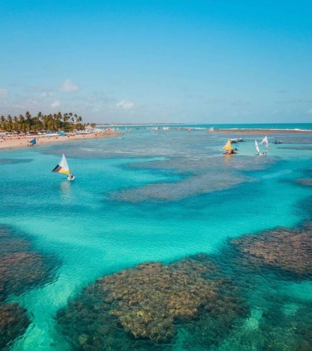 Moda Porto De Galinhas 