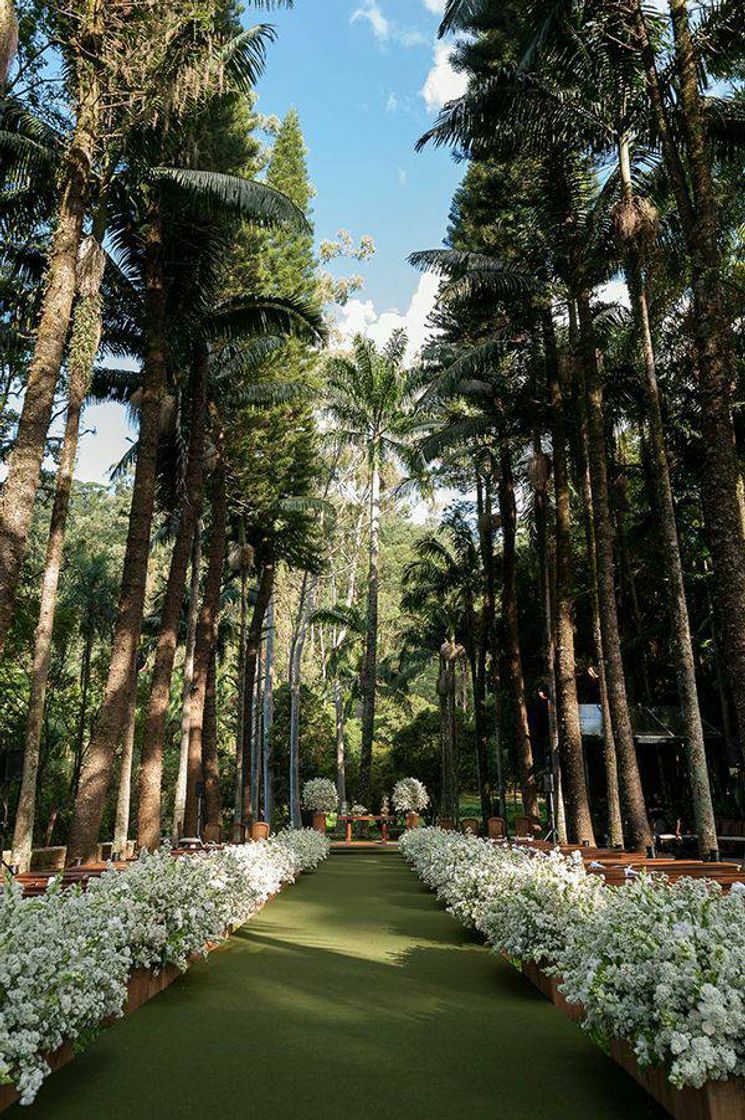 Moda Casamento em meio às palmeiras 🌴