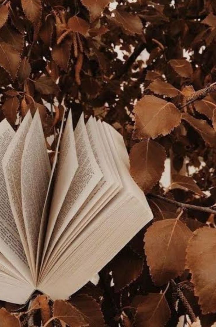 Social Livro