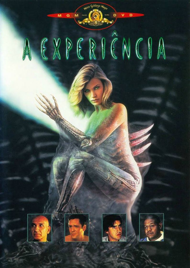 Película A Experiência 