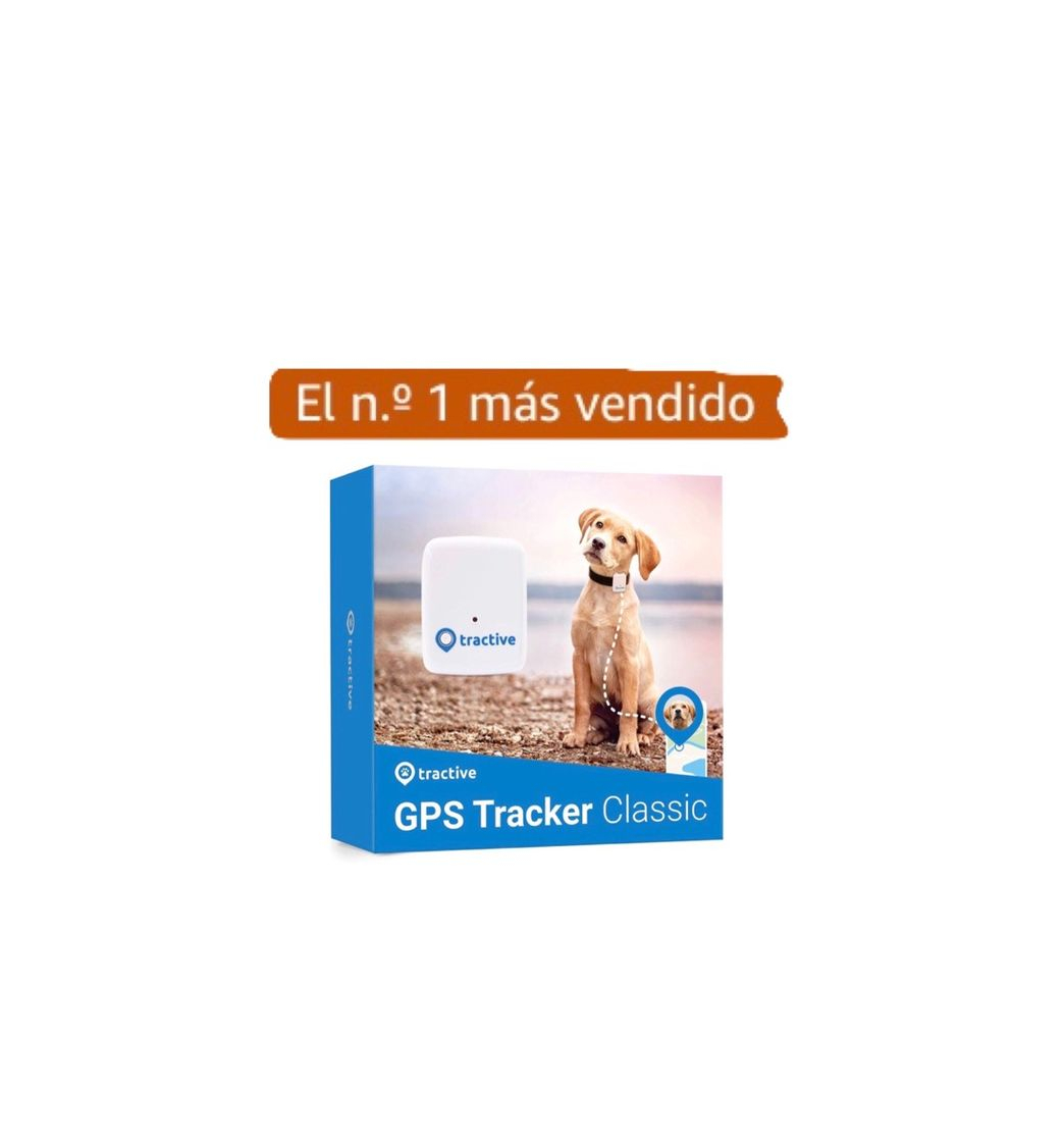 Product GPS para seu Dog 😍