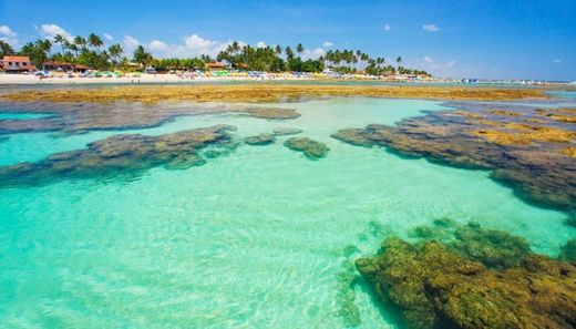 Porto de Galinhas