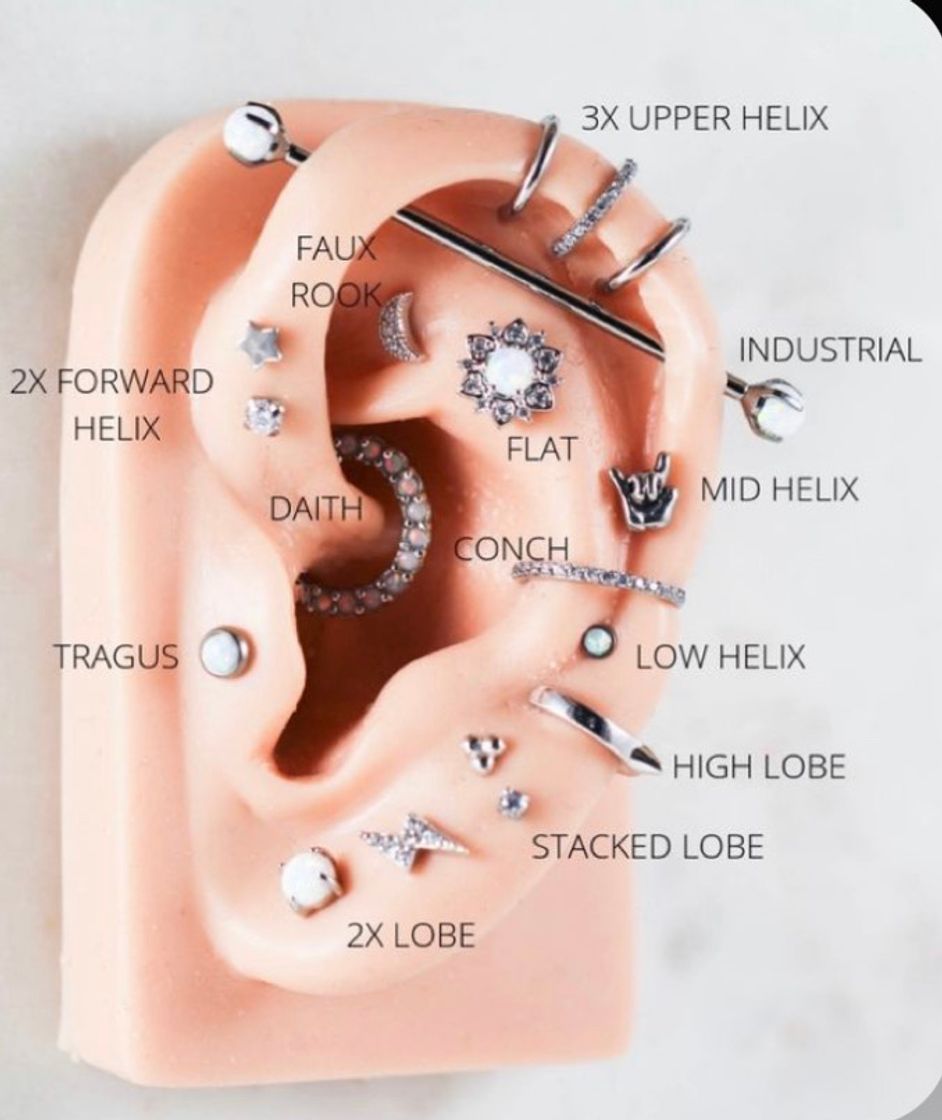 Fashion Piercing Ear Types 