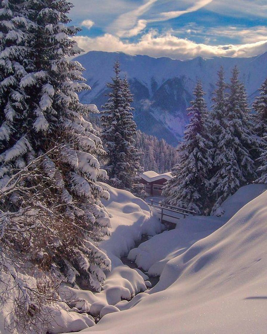 Moda Paisagem da melhor estação do ano ❄️❤️