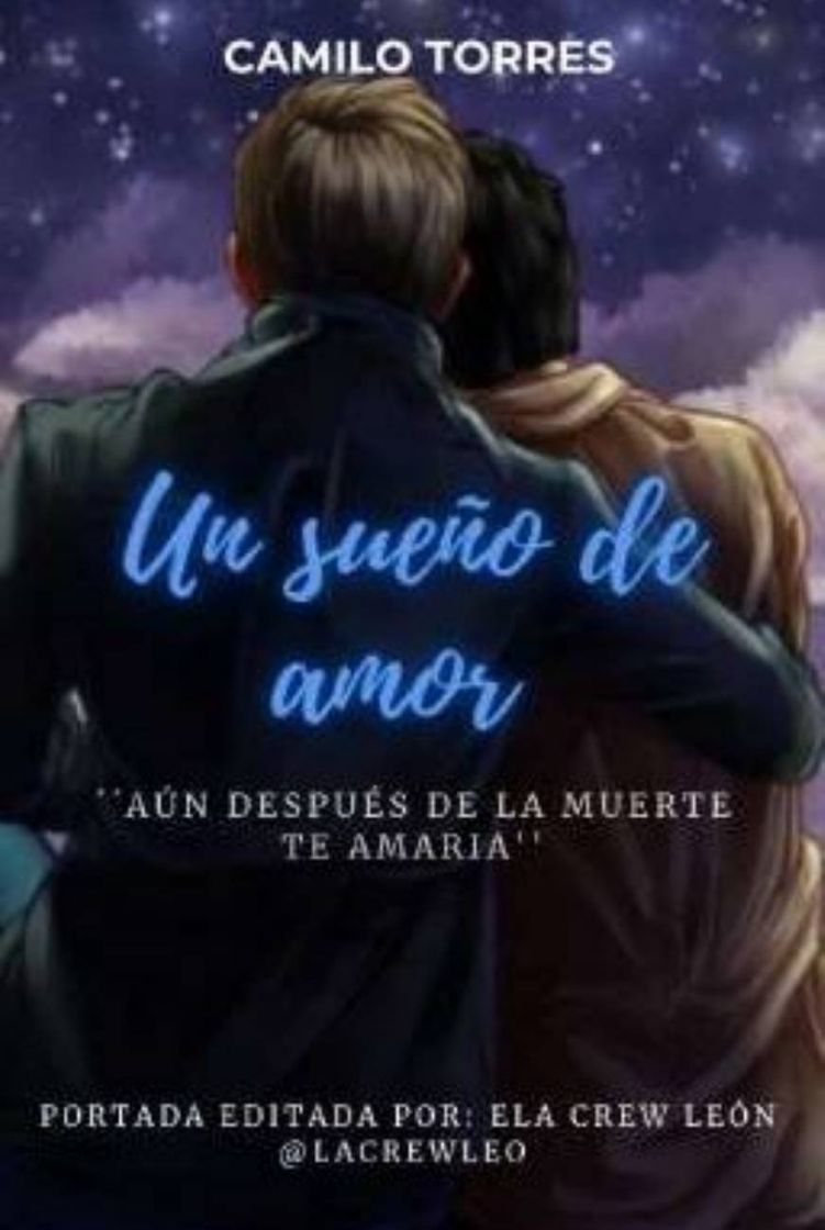 Book Un sueño de amor