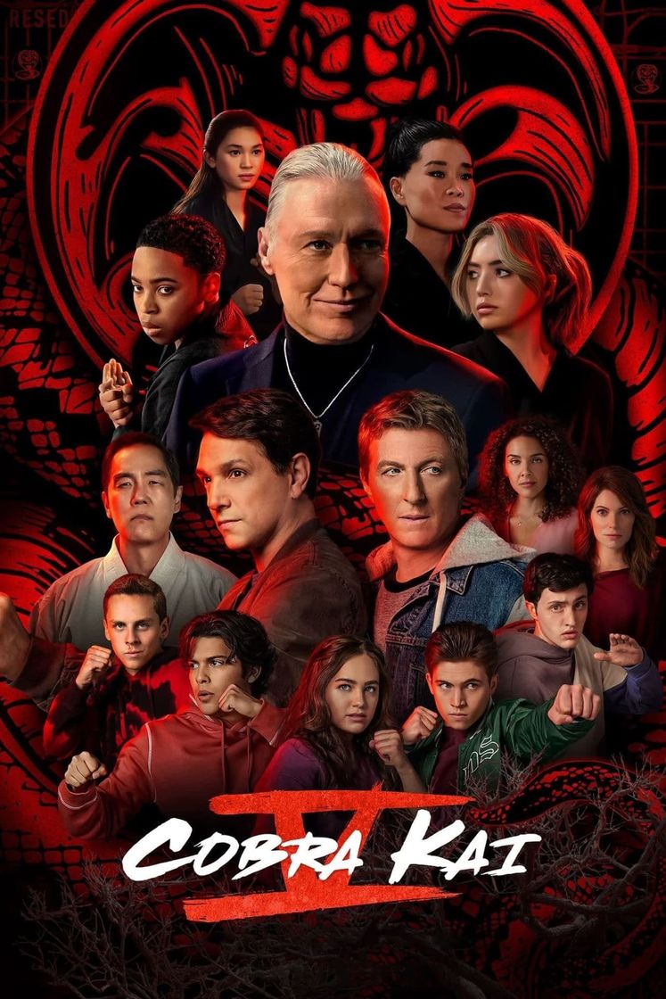 Serie Cobra Kai