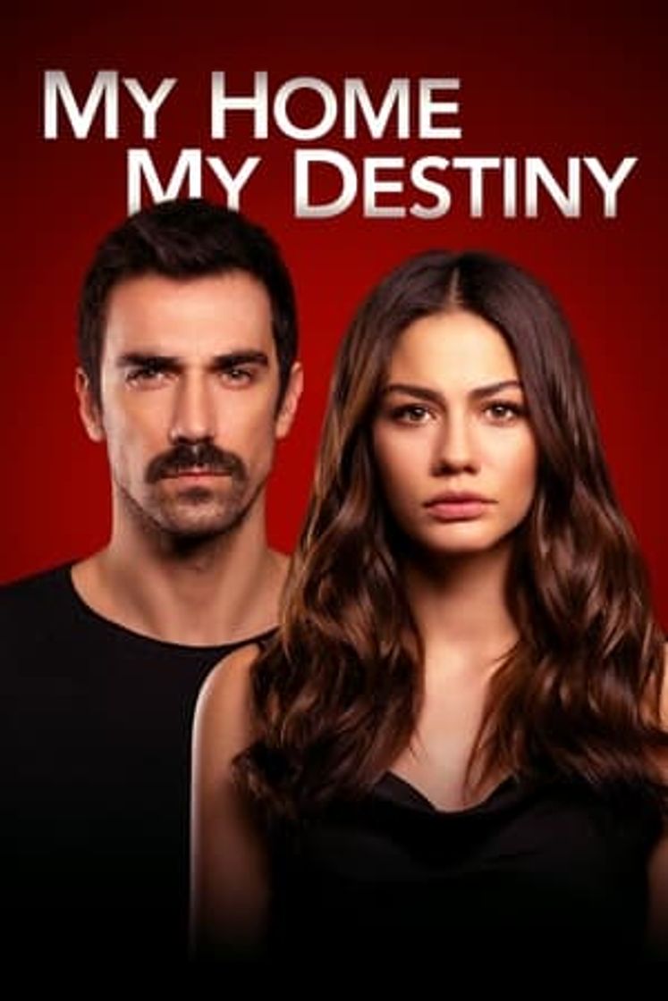 Serie Mi hogar, mi destino