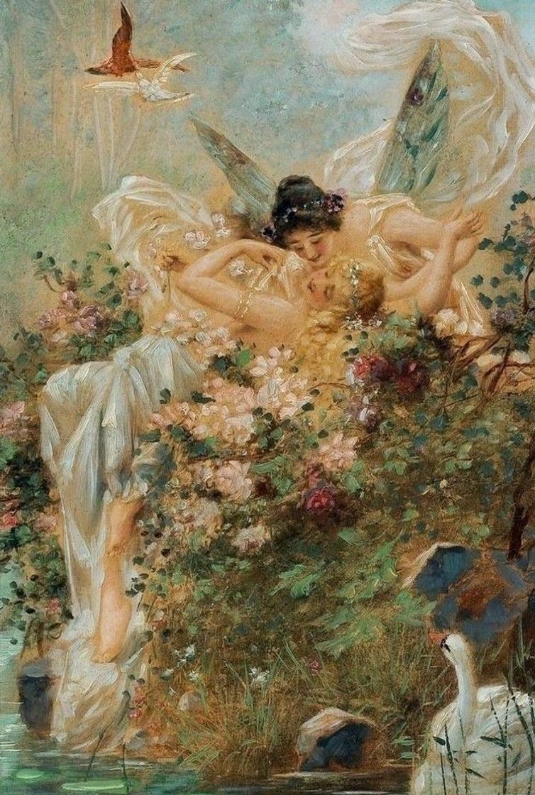 Social Pequeno jardim 