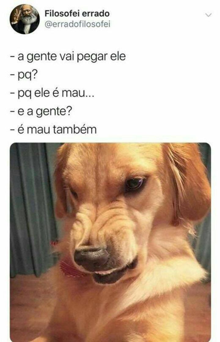 Social Risada