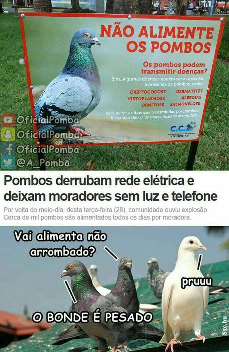 Social Primeira do dia