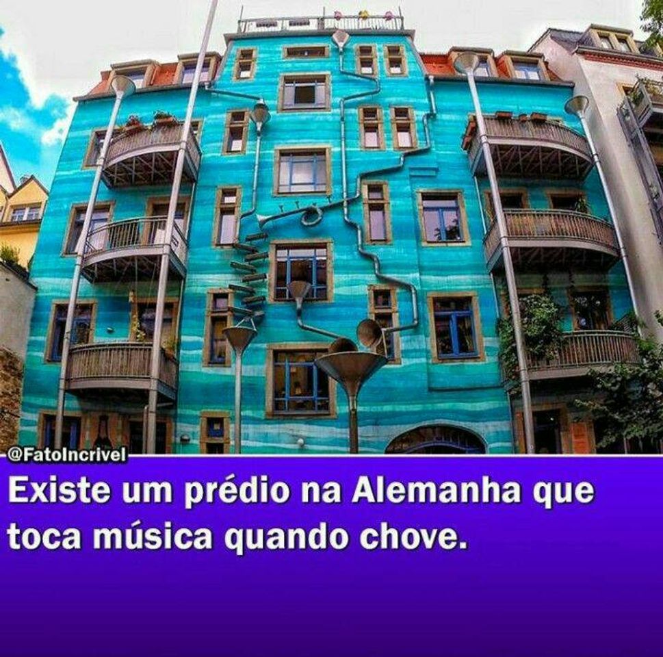 Social Curiosidade 33