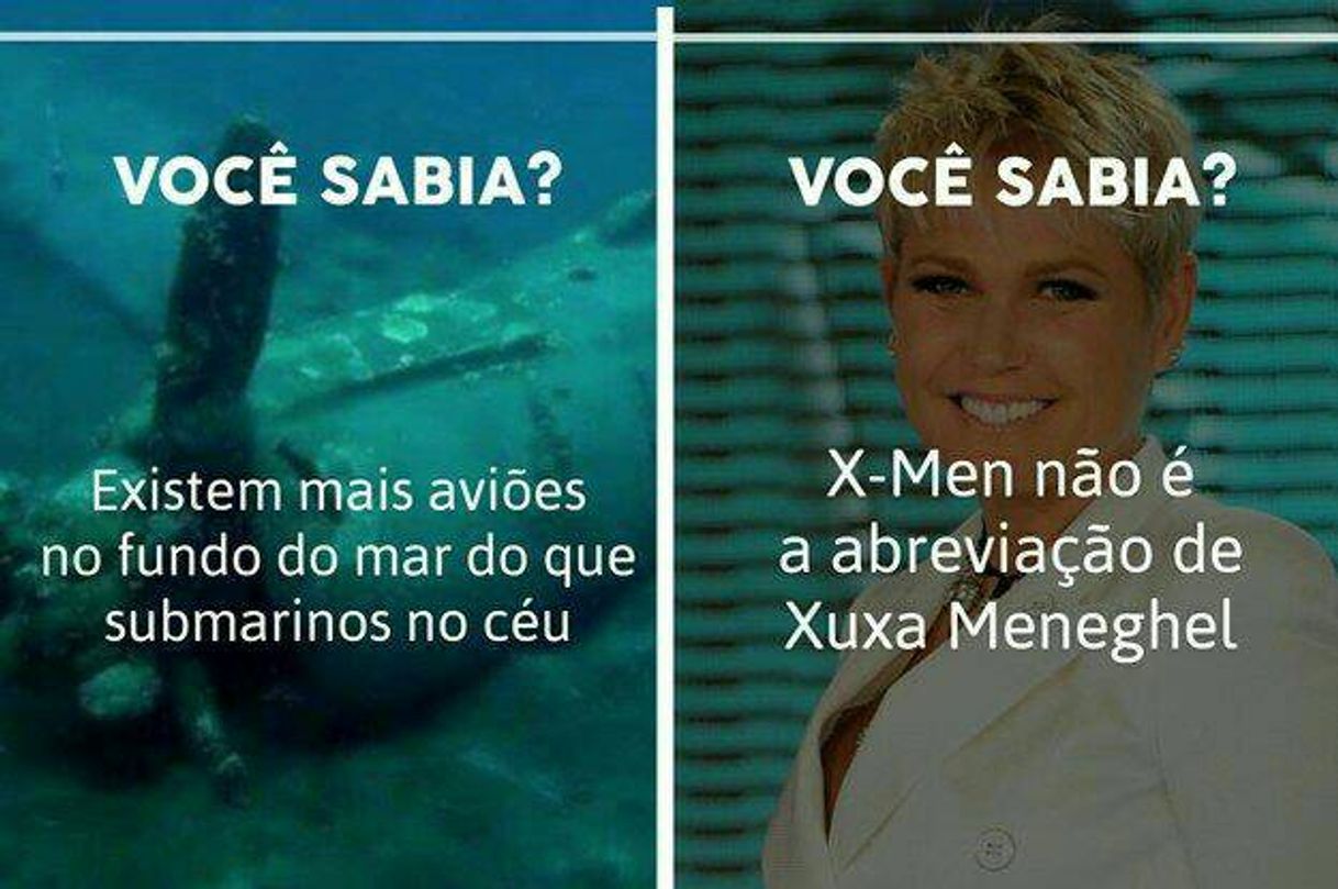 Social Curiosidade 53