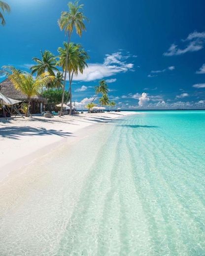 •Maldivas•