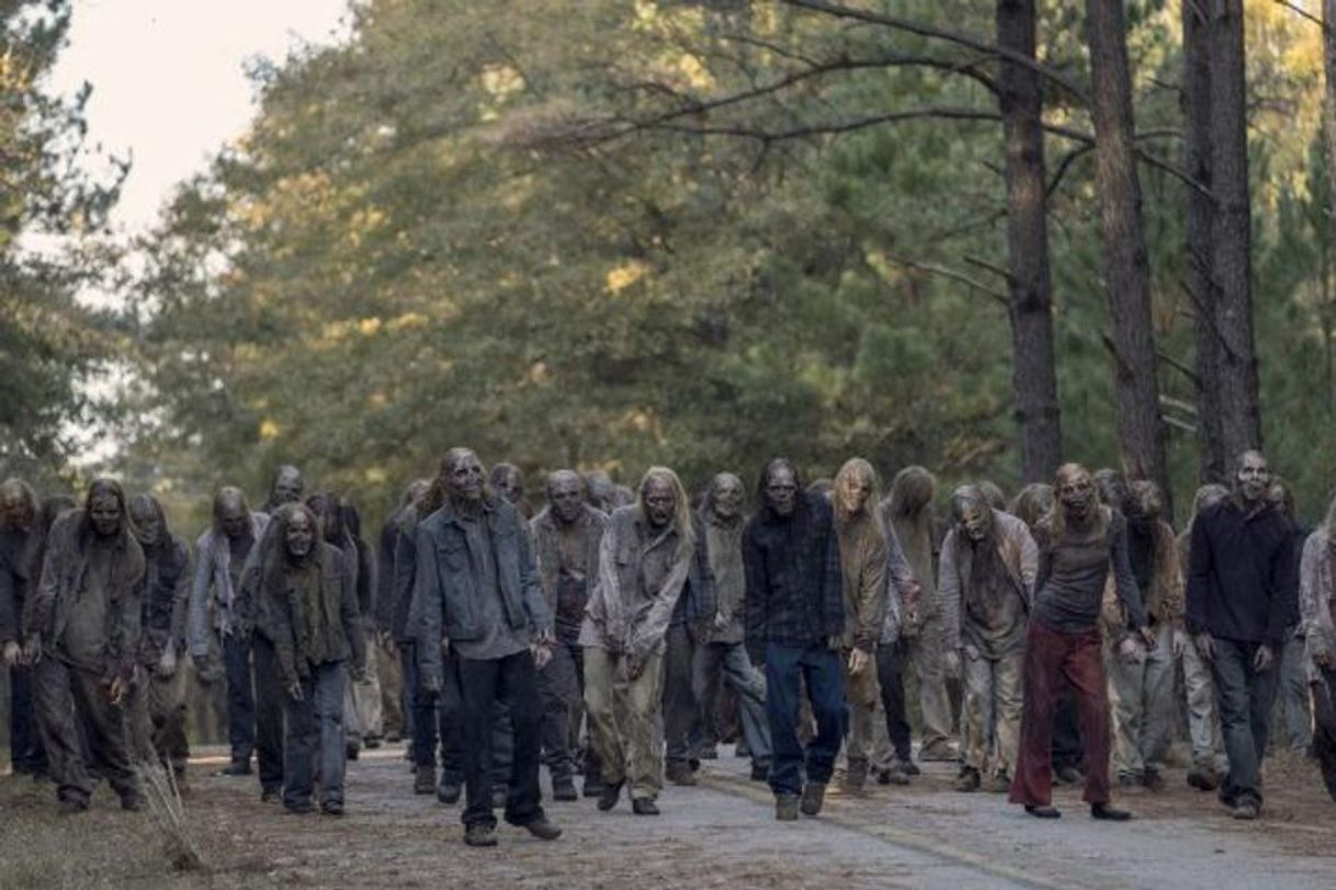 Serie The Walking Dead