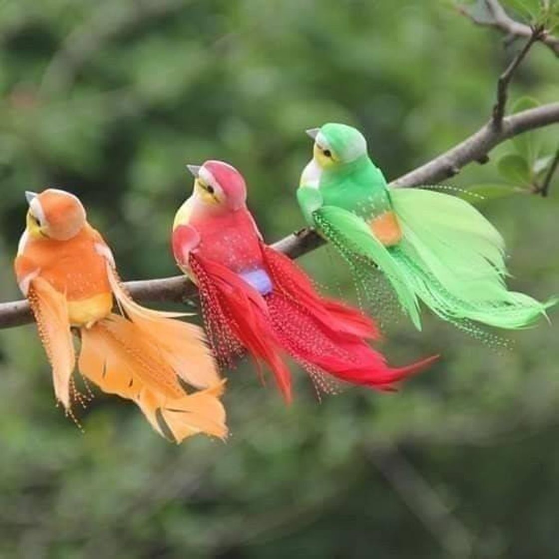 Fashion Trio parada dura qual é a mais bonita