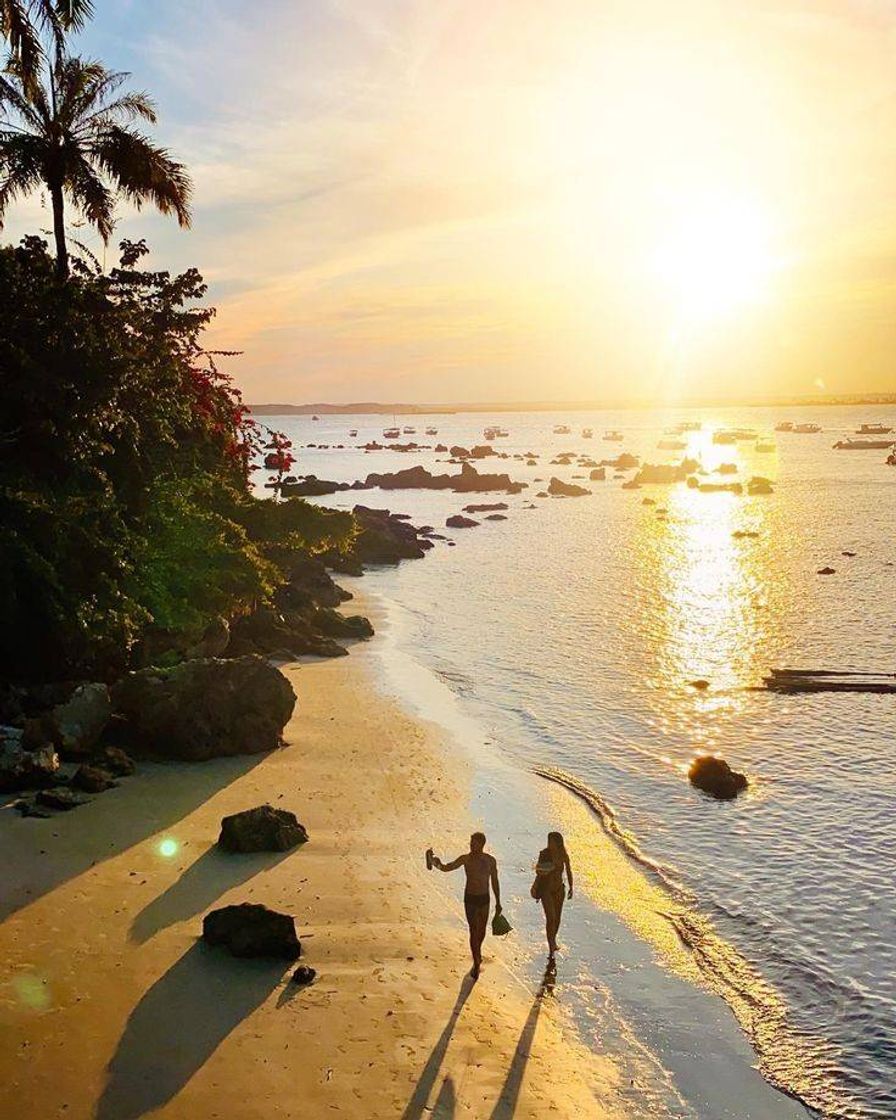 Social Lugar maravilhoso para um passeio