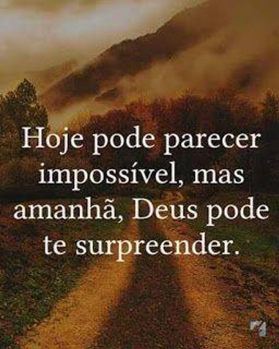 Social Aleluia