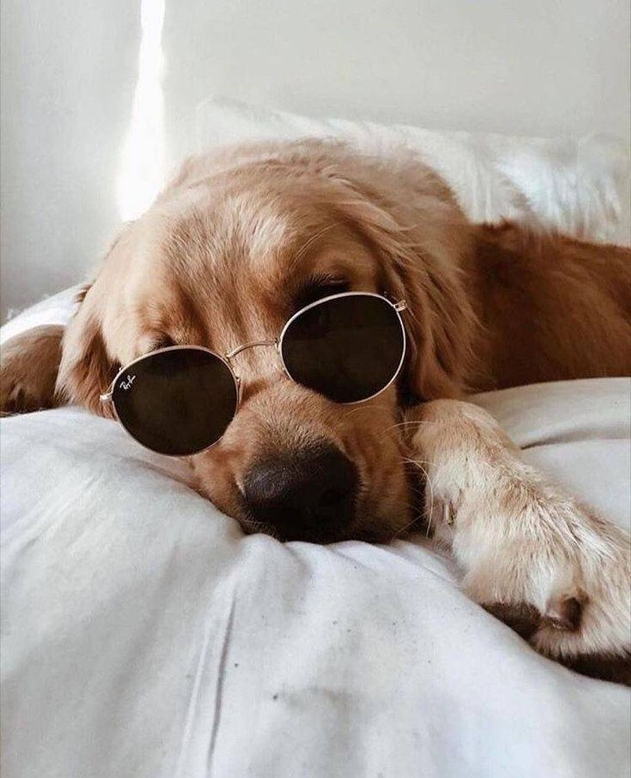 Social Tirar uma sonequinha