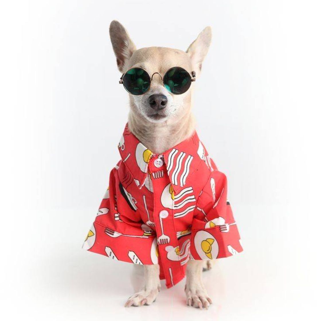 Social Me leva para casa