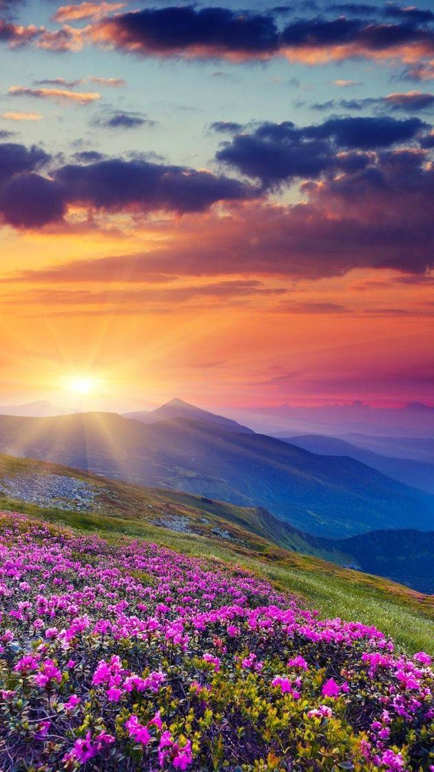 Social Maravilhoso graças a Deus