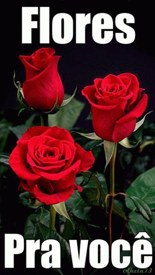 Social Para as mamães