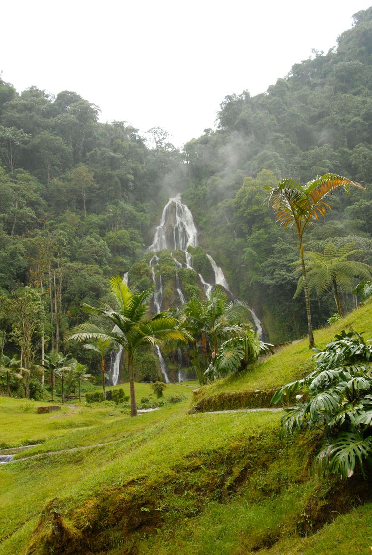 Lugar Santa Rosa de Cabal-Termales San Vicente