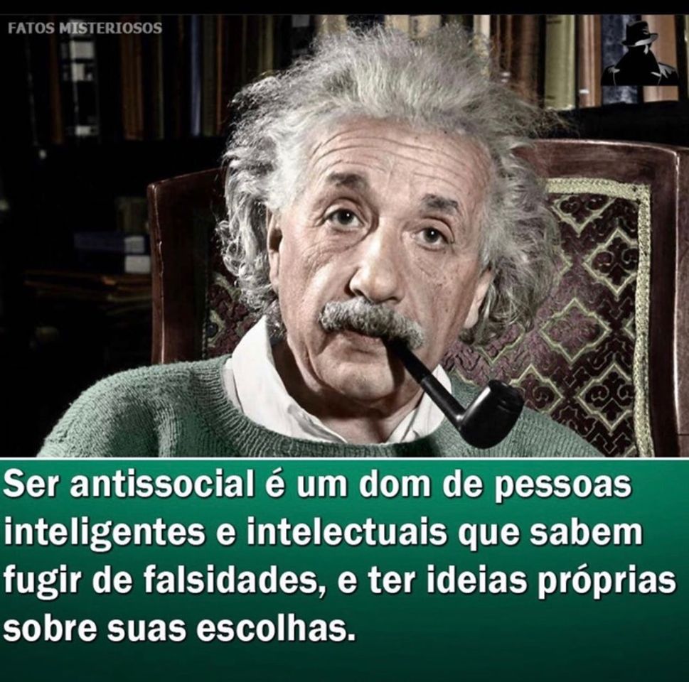 Social Curiosidades