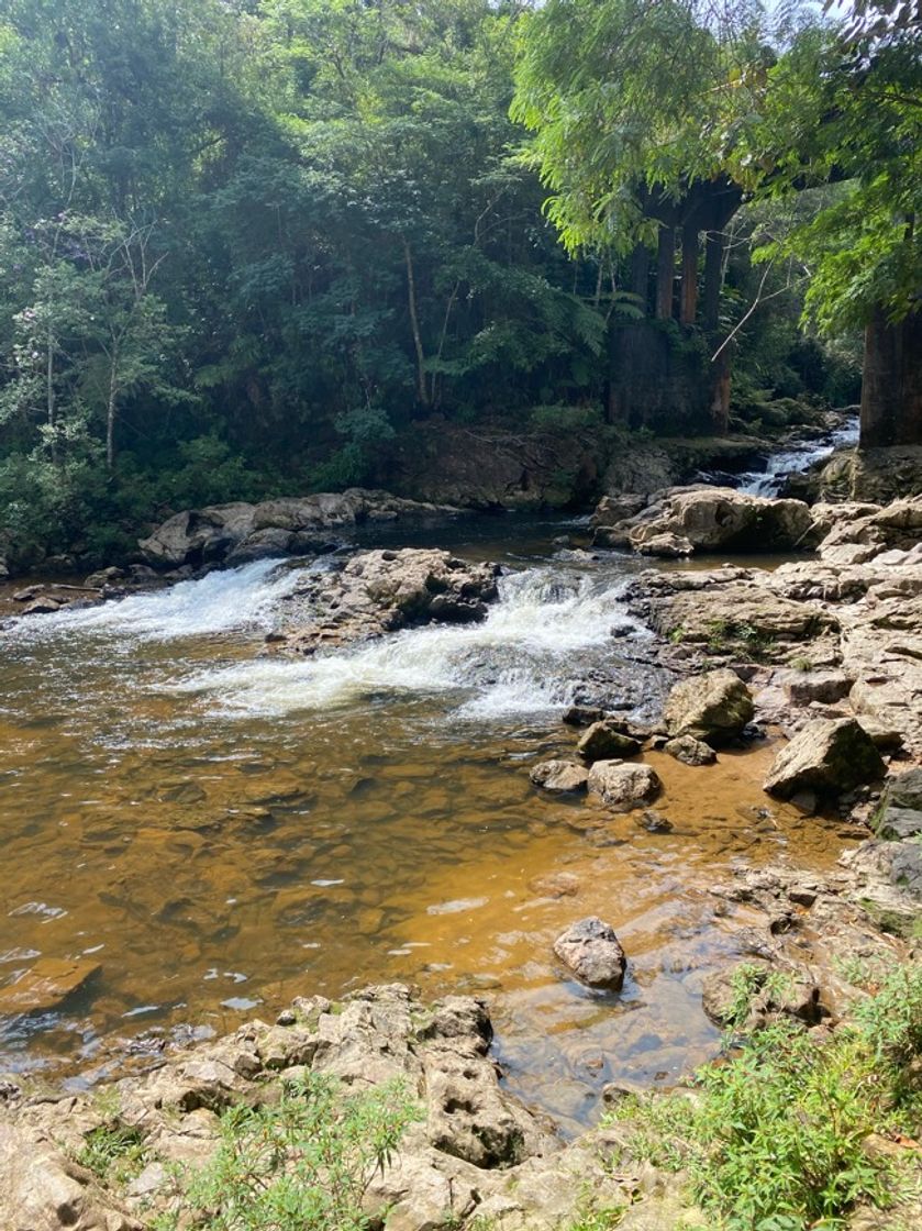 Lugar SelvaSP Parque De Aventura - Cachoeira Do Marsilac