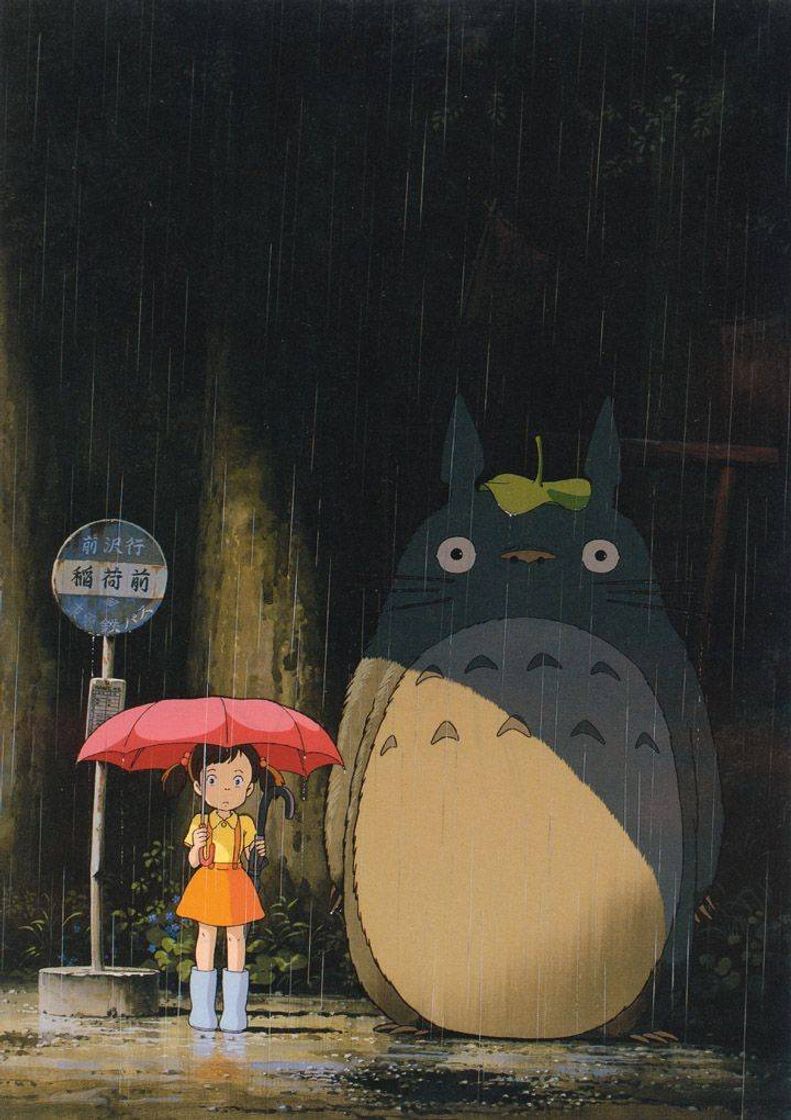 Moda Meu amigo Totoro