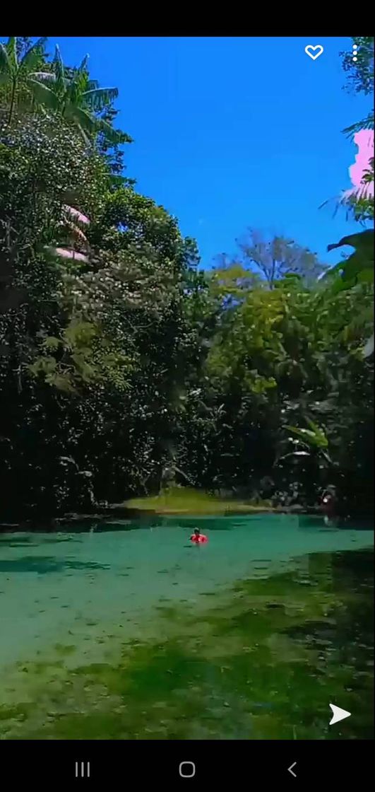 Restaurants Lagoa Azul