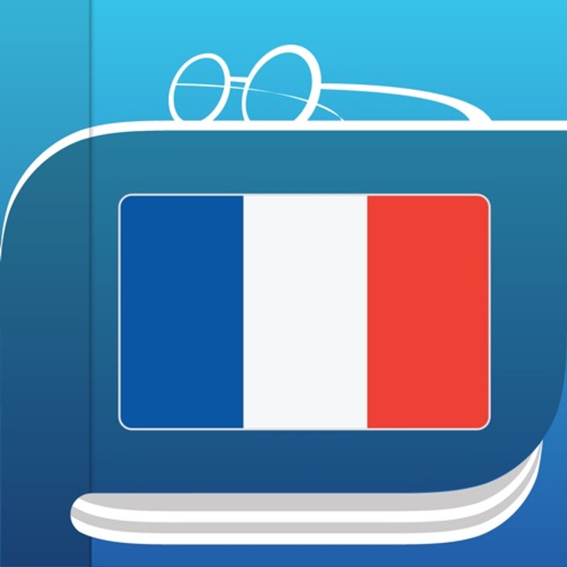 App Dictionnaire Français.