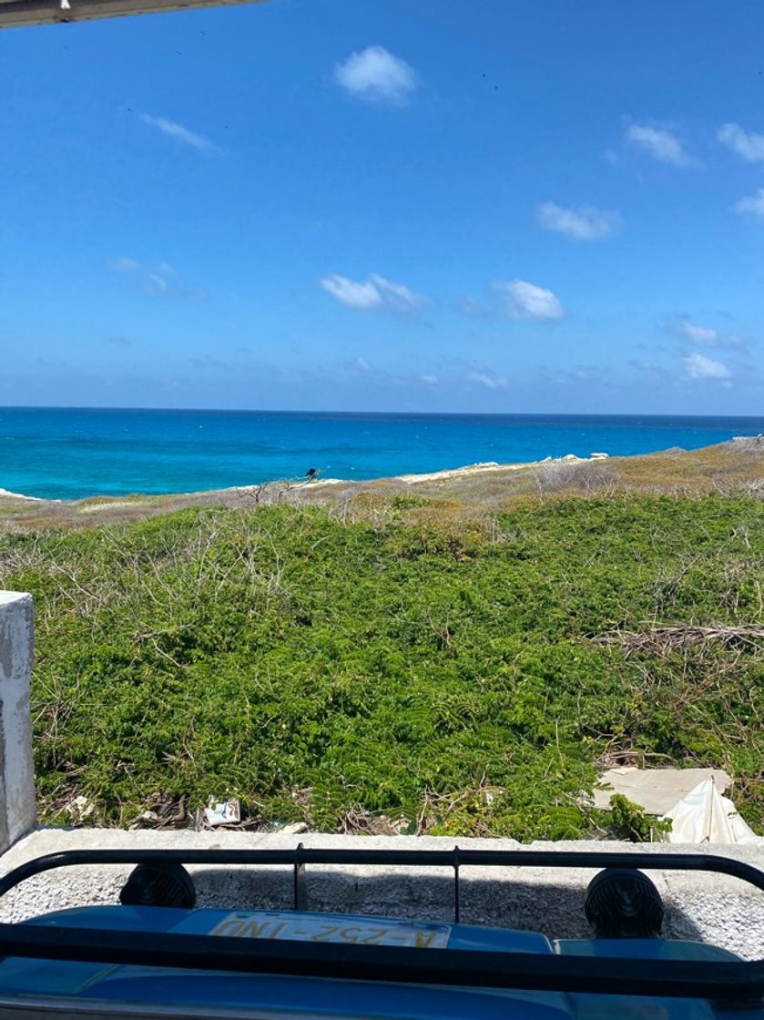 Lugar Isla Mujeres