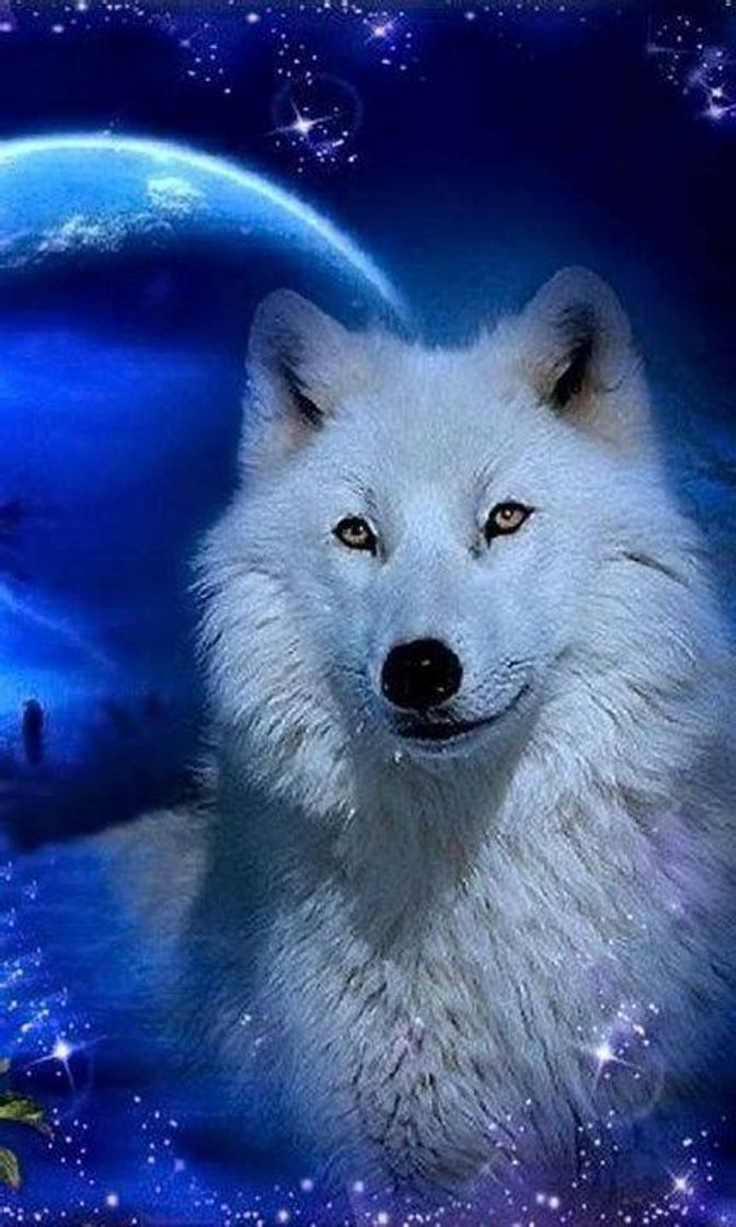 Social Lobos