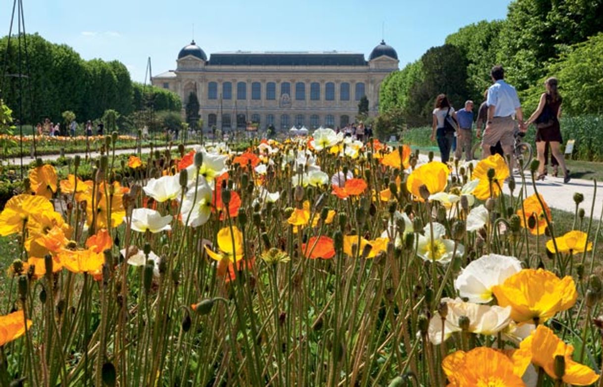 Place Jardin des Plantes