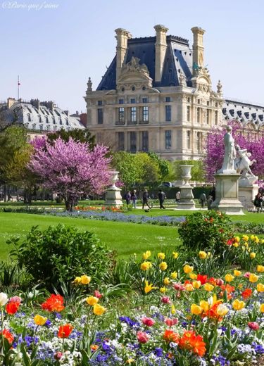 Jardin des tuileries