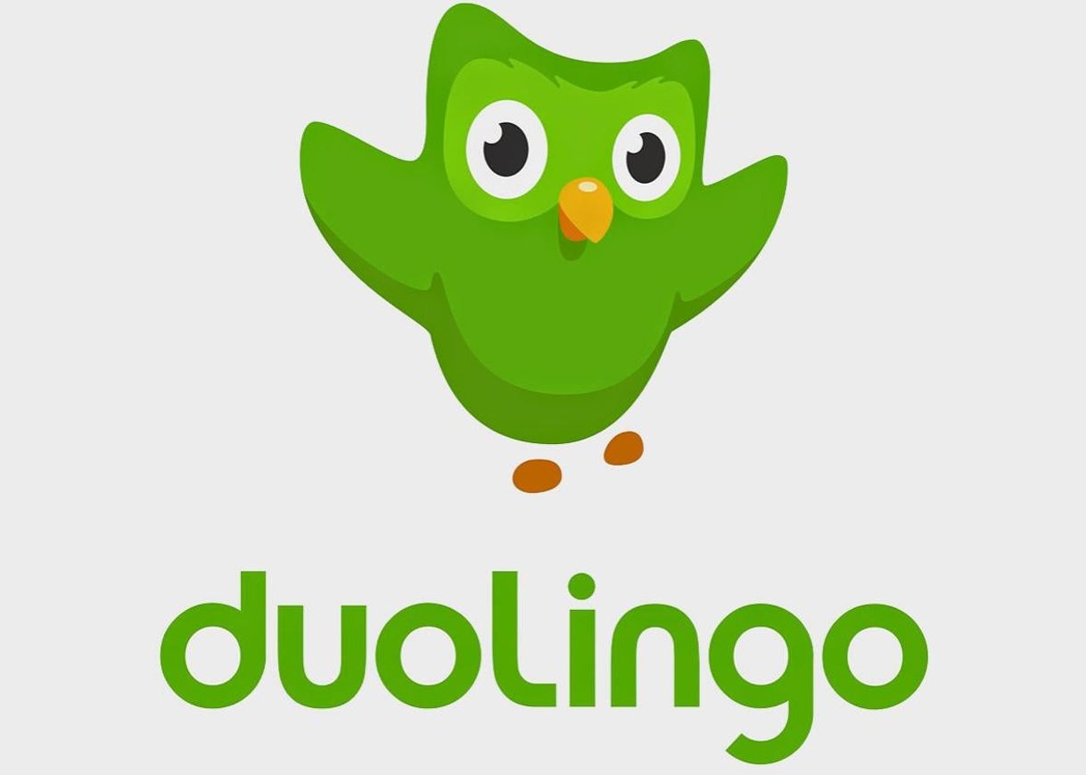 Moda Duolingo