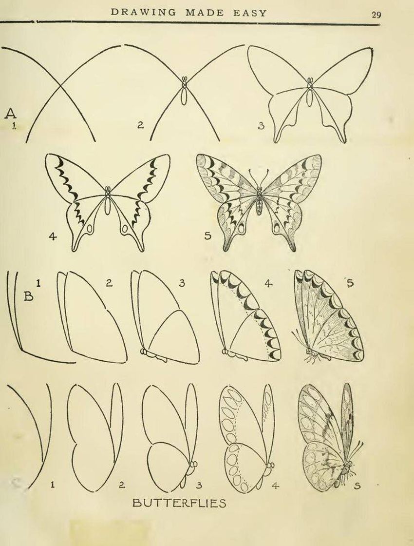 Moda Passo a passa de uma borboleta