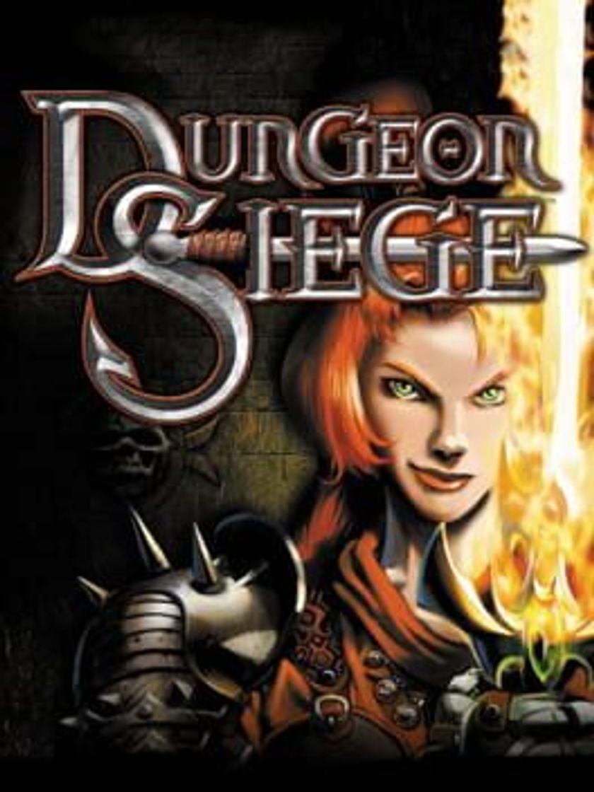 Videogames Dungeon Siege