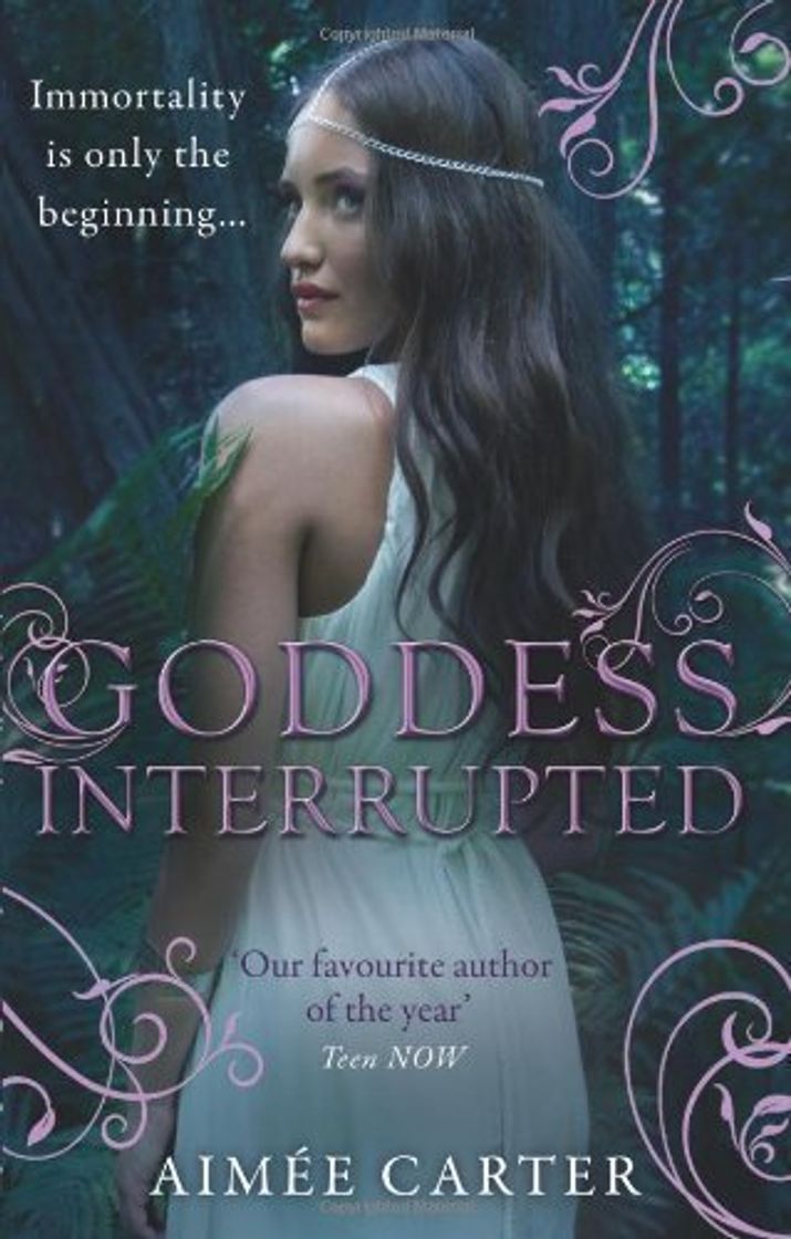 Book Goddess Interrupted