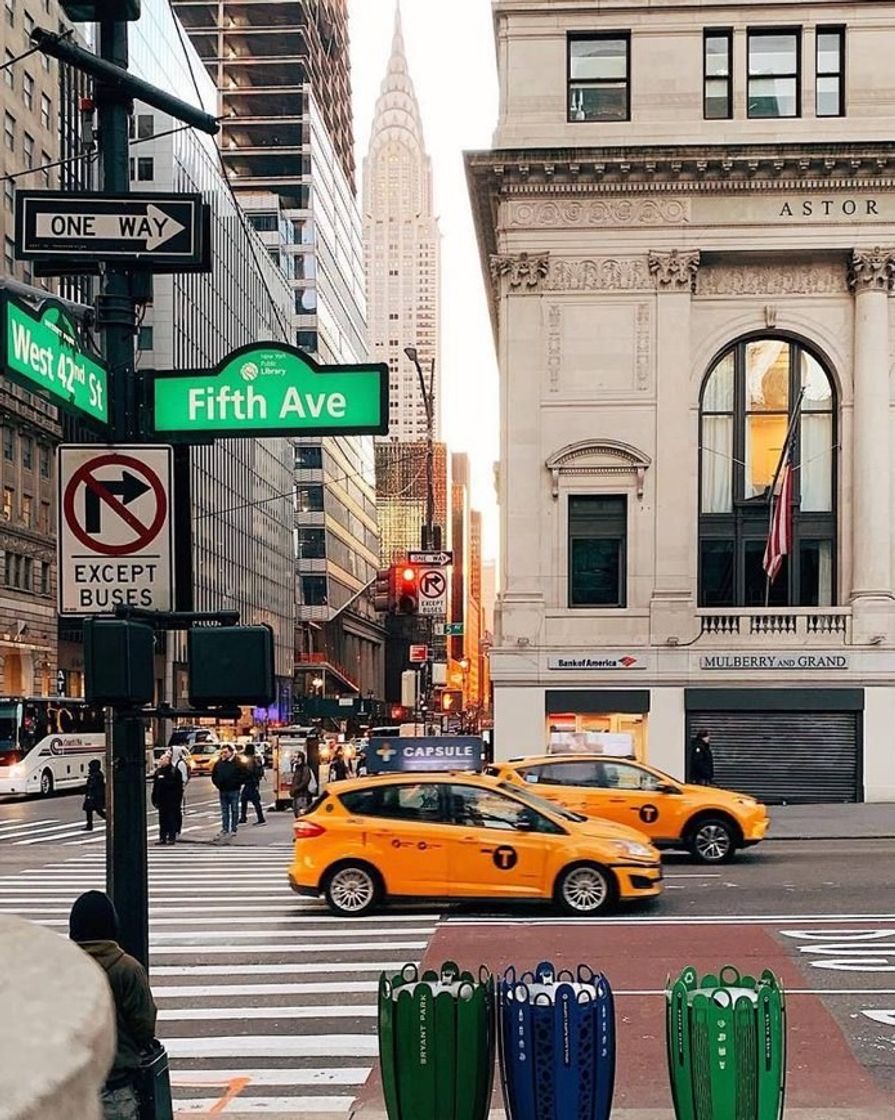 Place Fifth Avenue