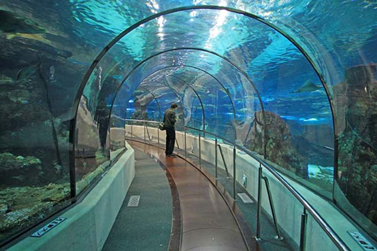 Lugar Aquarium de Barcelona