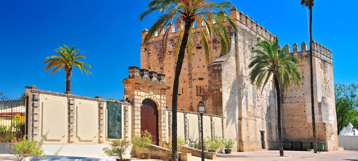 Lugar Alcázar de Jerez de la Frontera