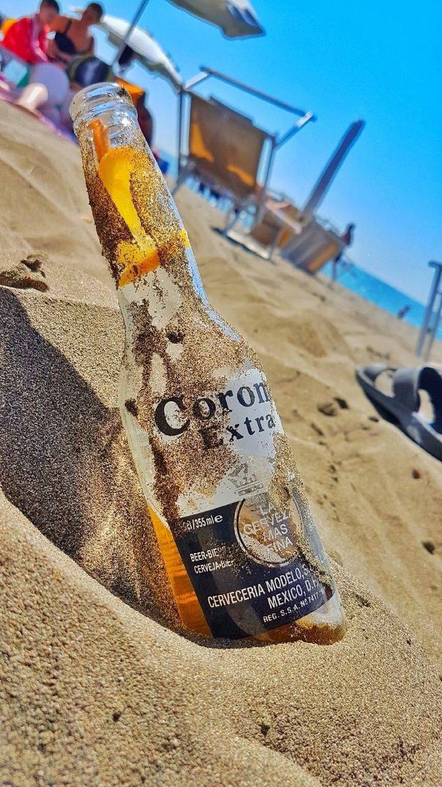 Fashion Cerveja gelada, praia na vista e paz aumentada