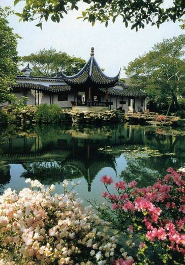 Jardim de Yuyuan🦋🌸🍃